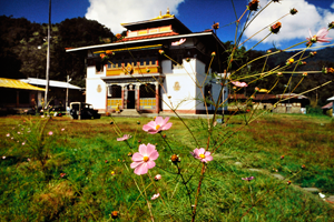 Inde Sikkim Podang 1994