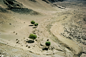 Inde Ladakh 1979
