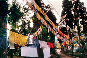 Inde Sikkim Gangtok 1994